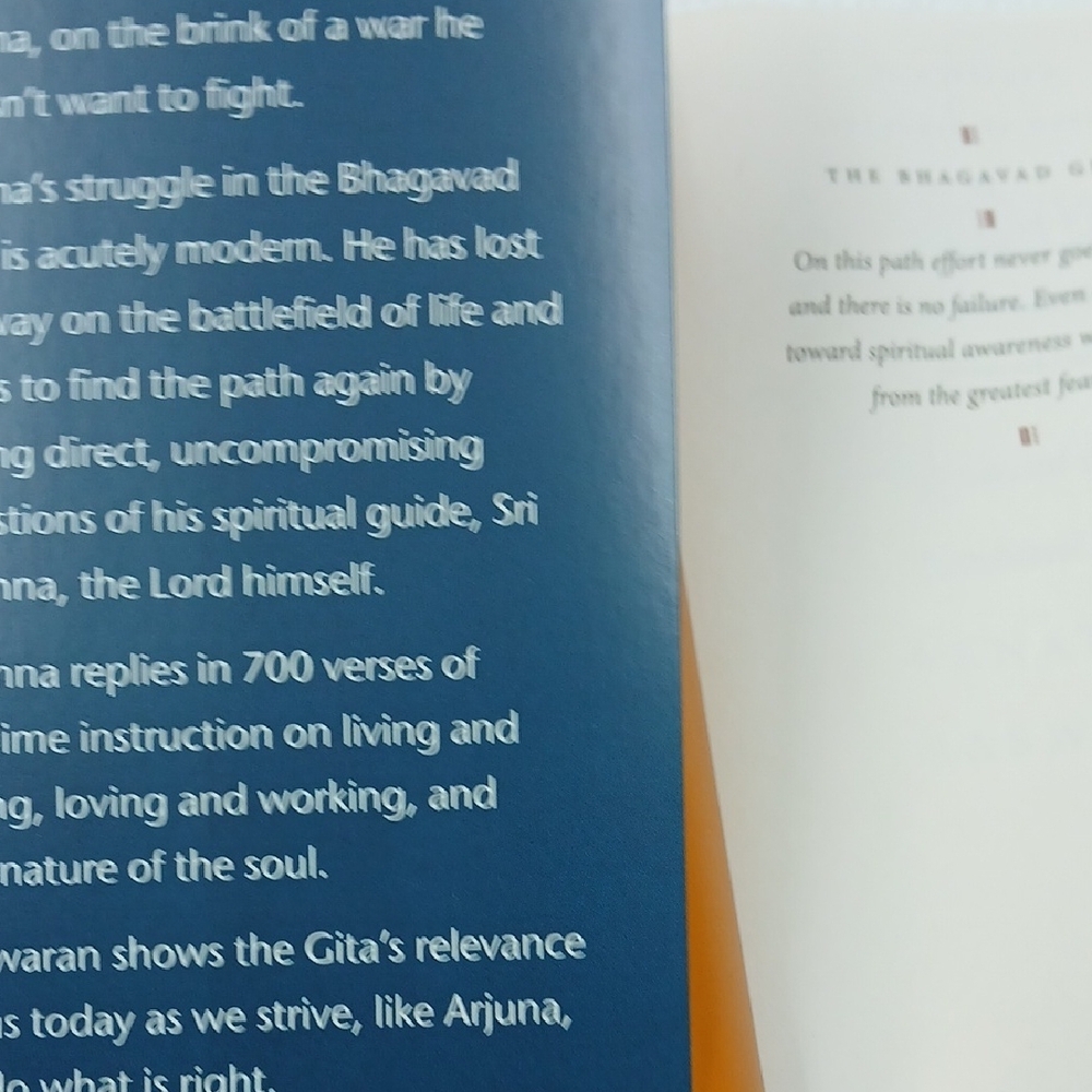 The Bhagavad Gita by Eknath Easwaran - Teal & Gold Cover - Picture 4 of 7